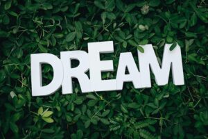 Word 'Dream' in white letters on lush green leaves, symbolizing growth and inspiration.